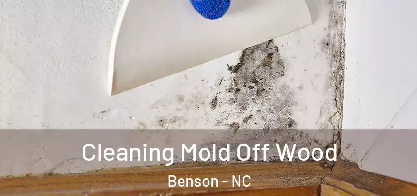 Cleaning Mold Off Wood Benson - NC