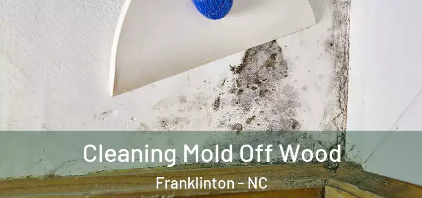  Cleaning Mold Off Wood Franklinton - NC