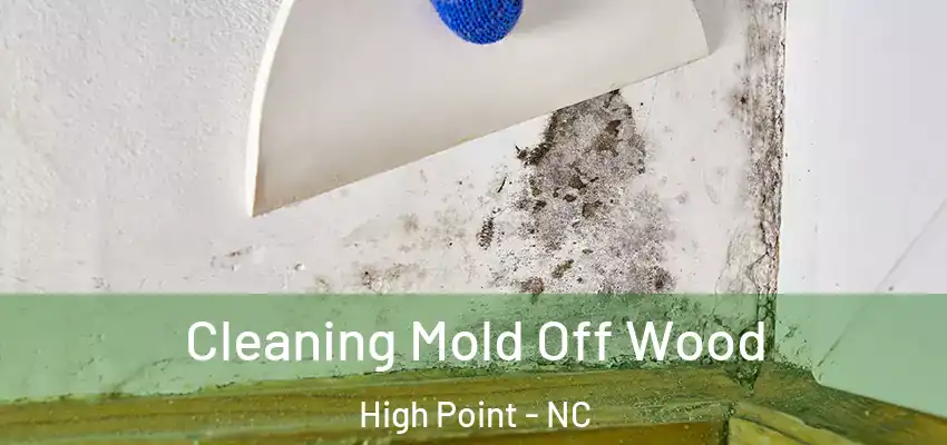  Cleaning Mold Off Wood High Point - NC