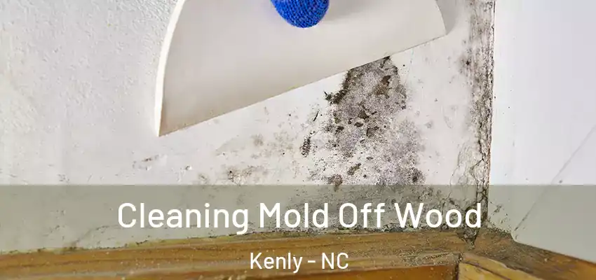  Cleaning Mold Off Wood Kenly - NC