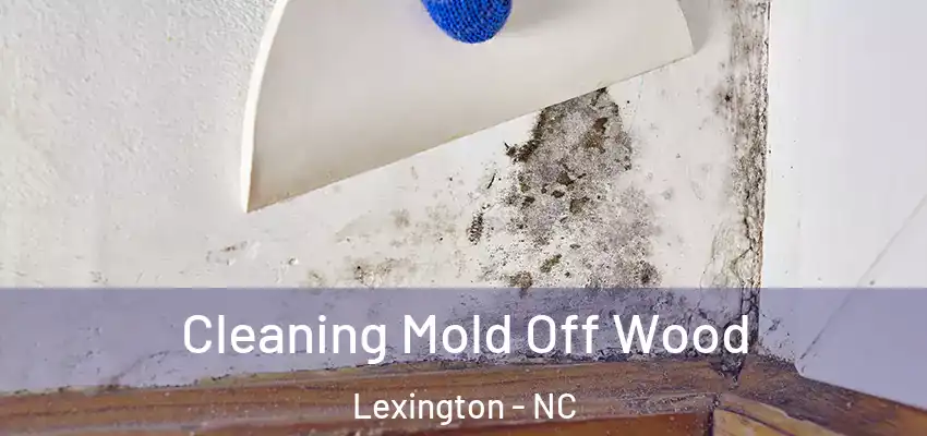  Cleaning Mold Off Wood Lexington - NC