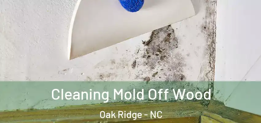 Cleaning Mold Off Wood Oak Ridge - NC