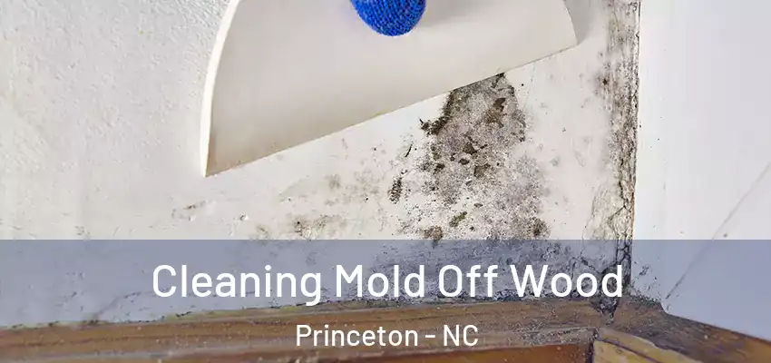 Cleaning Mold Off Wood Princeton - NC