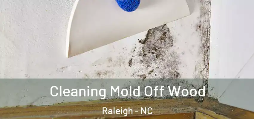Cleaning Mold Off Wood Raleigh - NC