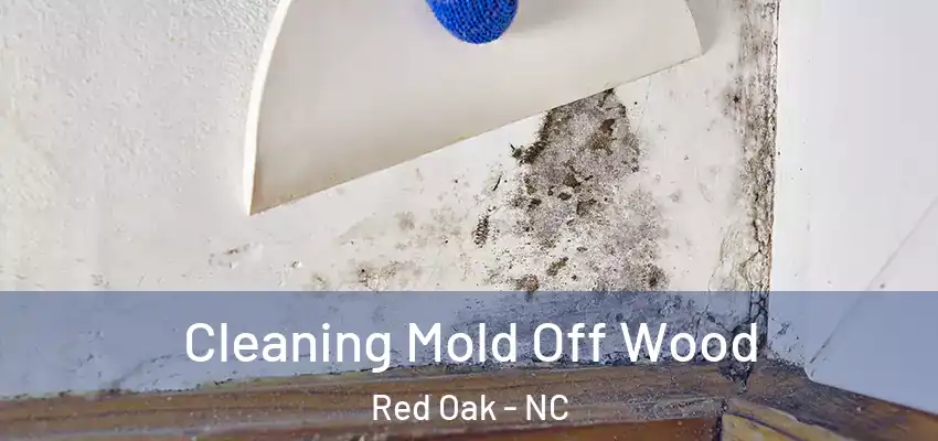 Cleaning Mold Off Wood Red Oak - NC