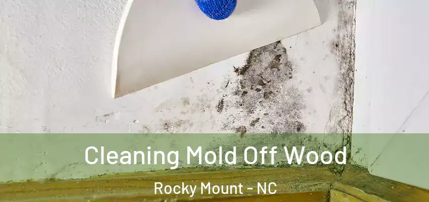 Cleaning Mold Off Wood Rocky Mount - NC