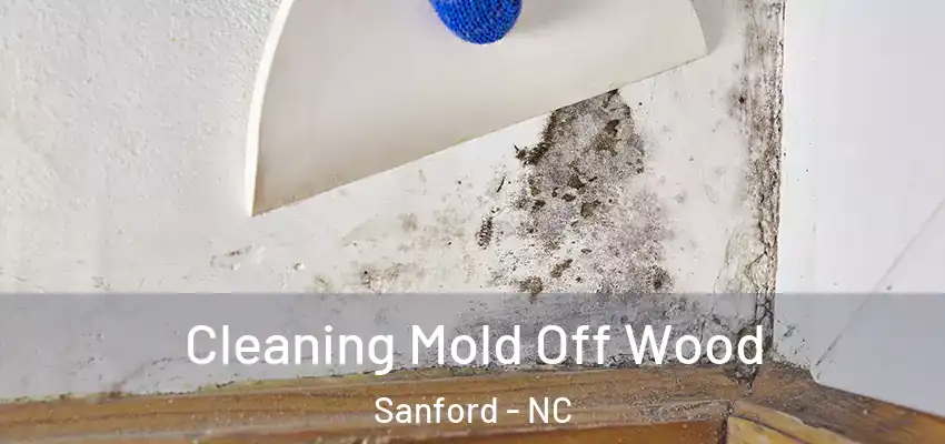 Cleaning Mold Off Wood Sanford - NC