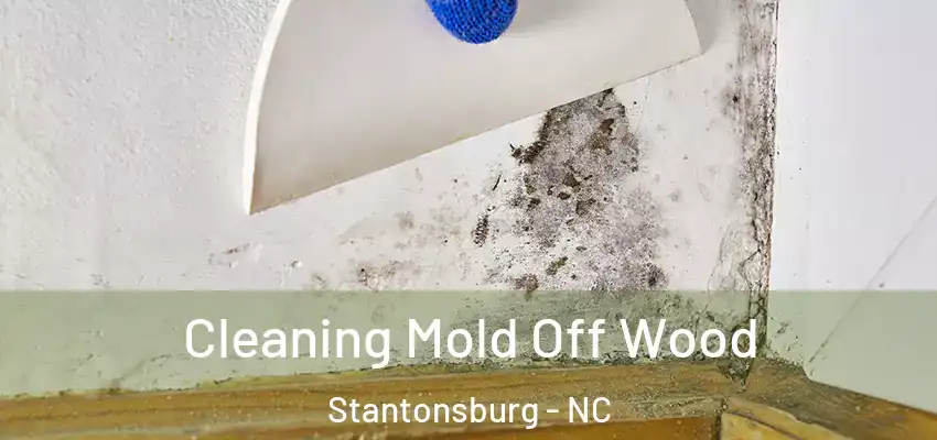 Cleaning Mold Off Wood Stantonsburg - NC