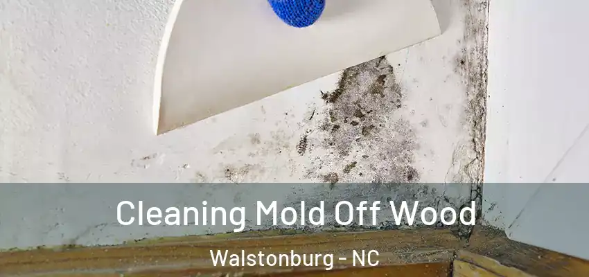  Cleaning Mold Off Wood Walstonburg - NC