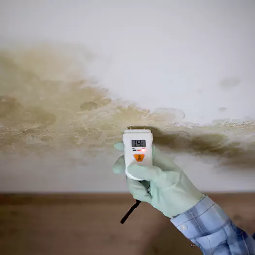 Reliable Mold Inspection Experts in Winston-Salem, NC