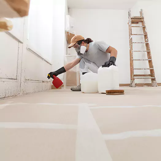 Reliable Mold Stain Remover Specialists in Winston-Salem, NC