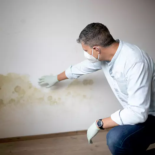 Trusted Mold Remediation and Removal Experts in Winston-Salem, NC