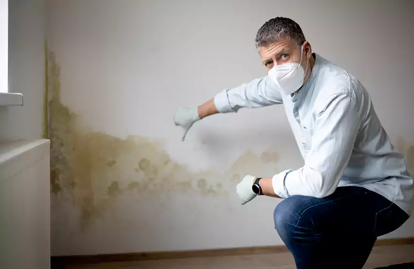 Mold Removal in Winston-Salem, NC