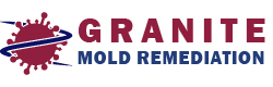 Granite Mold Remediation