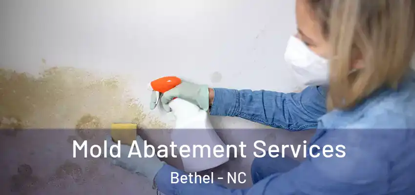  Mold Abatement Services Bethel - NC