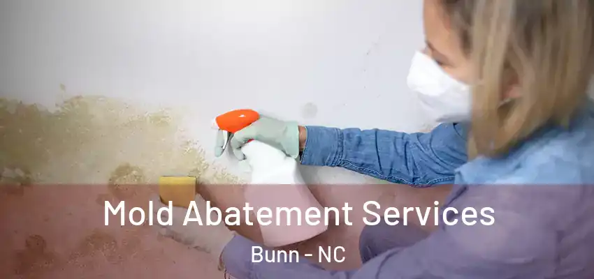  Mold Abatement Services Bunn - NC