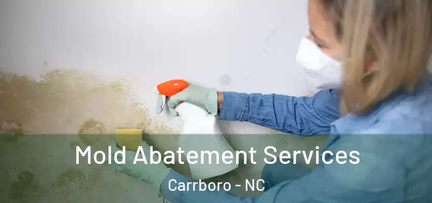  Mold Abatement Services Carrboro - NC