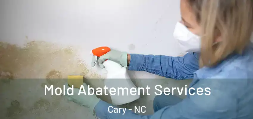  Mold Abatement Services Cary - NC