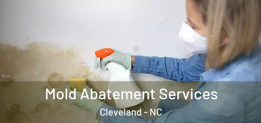 Mold Abatement Services Cleveland - NC