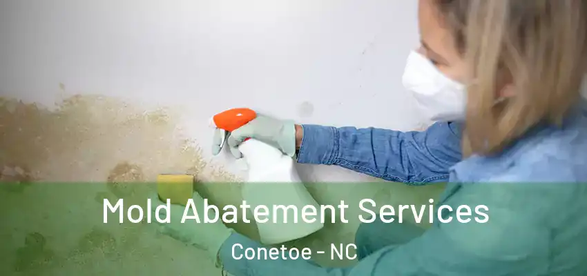  Mold Abatement Services Conetoe - NC