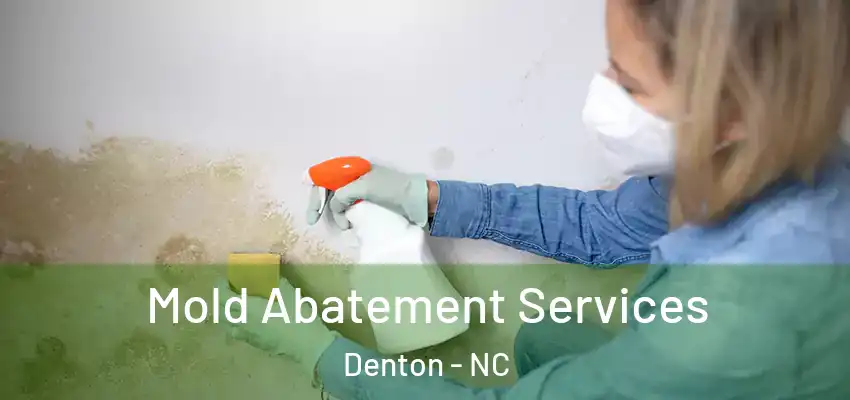  Mold Abatement Services Denton - NC