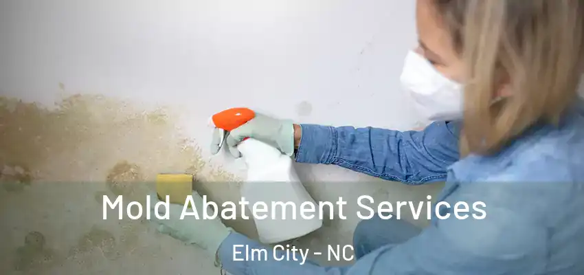 Mold Abatement Services Elm City - NC