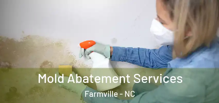 Mold Abatement Services Farmville - NC