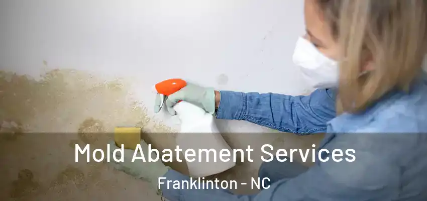  Mold Abatement Services Franklinton - NC