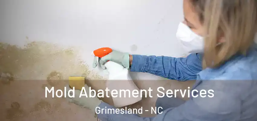 Mold Abatement Services Grimesland - NC