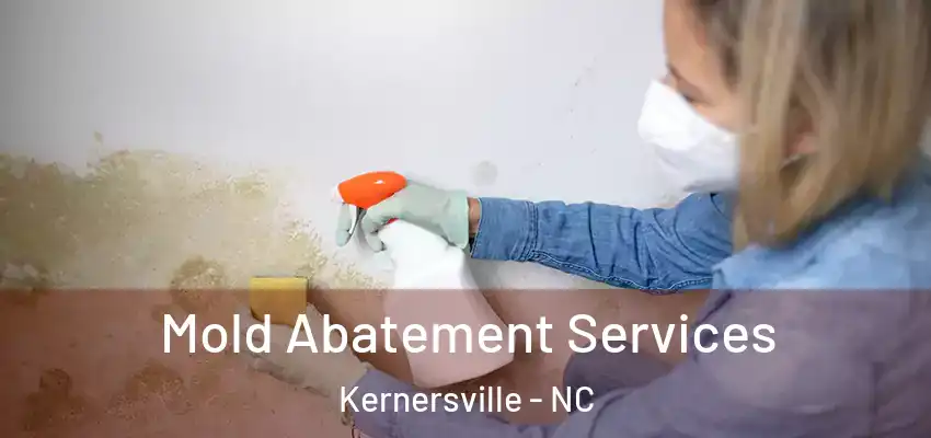 Mold Abatement Services Kernersville - NC