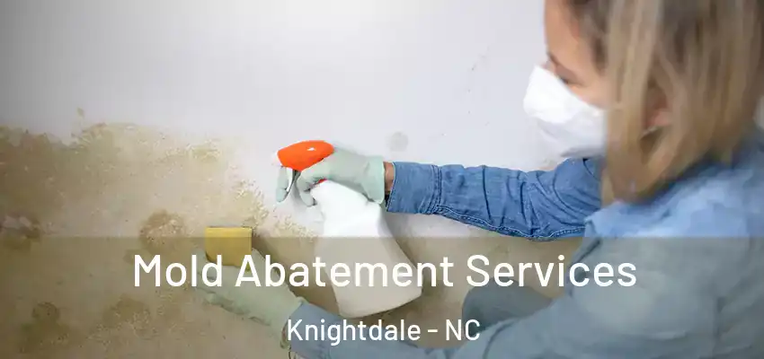  Mold Abatement Services Knightdale - NC