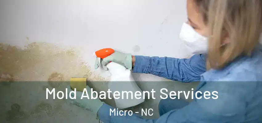 Mold Abatement Services Micro - NC