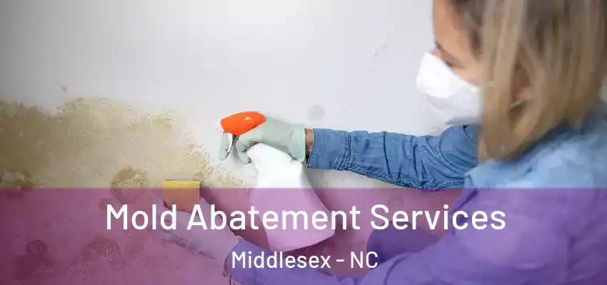 Mold Abatement Services Middlesex - NC
