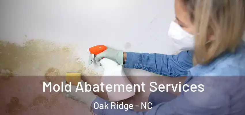  Mold Abatement Services Oak Ridge - NC