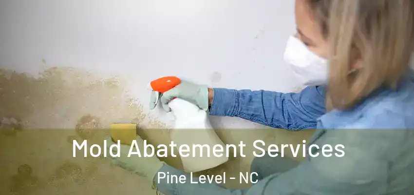  Mold Abatement Services Pine Level - NC