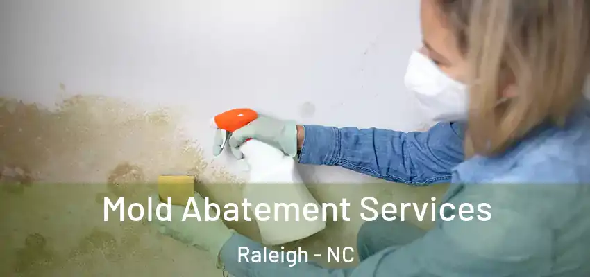  Mold Abatement Services Raleigh - NC
