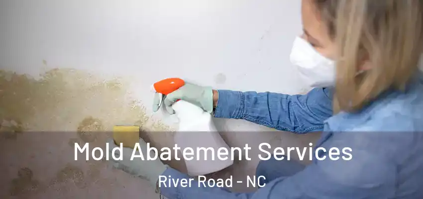 Mold Abatement Services River Road - NC