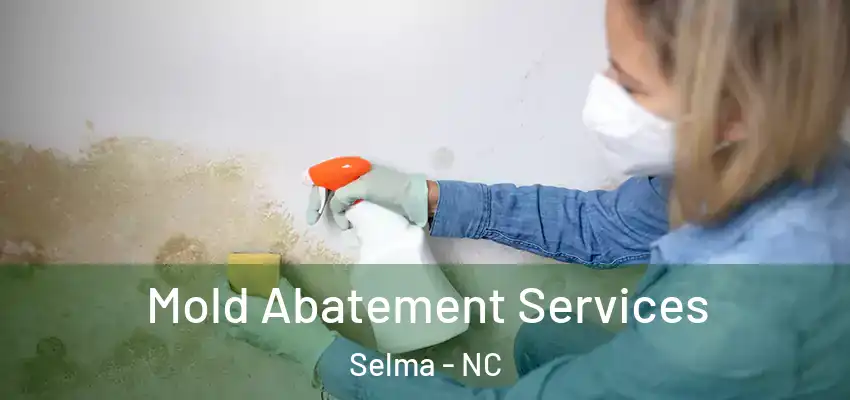 Mold Abatement Services Selma - NC