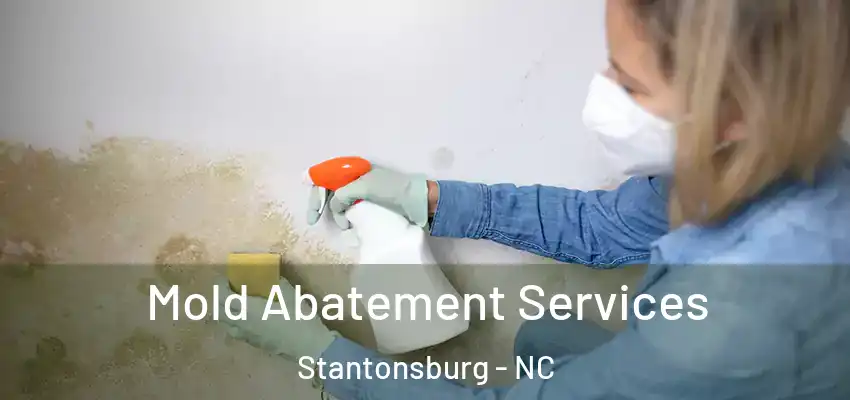 Mold Abatement Services Stantonsburg - NC