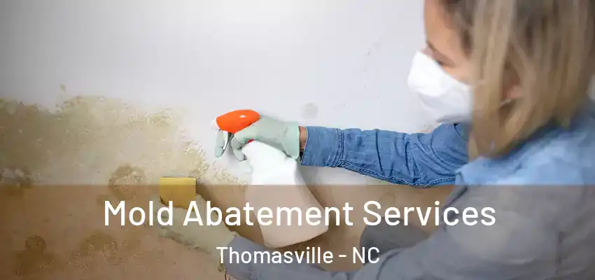 Mold Abatement Services Thomasville - NC