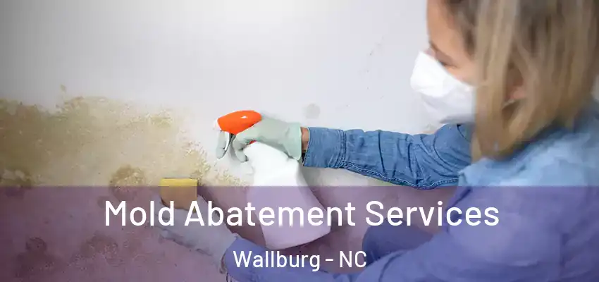  Mold Abatement Services Wallburg - NC
