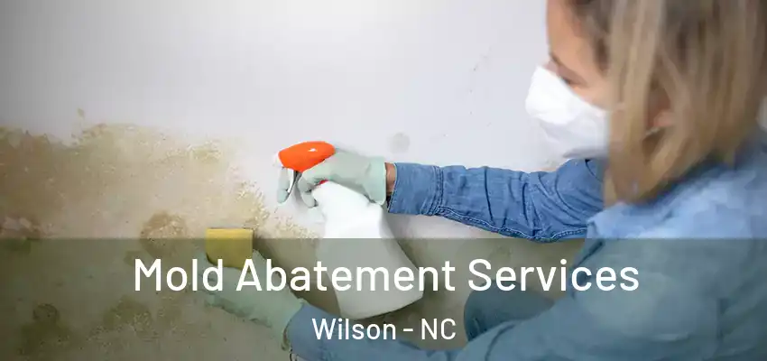 Mold Abatement Services Wilson - NC