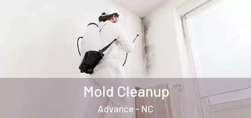  Mold Cleanup Advance - NC