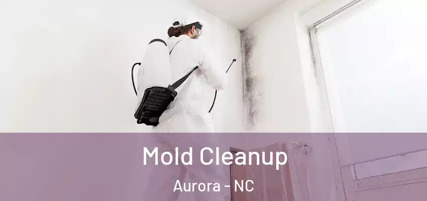 Mold Cleanup Aurora - NC