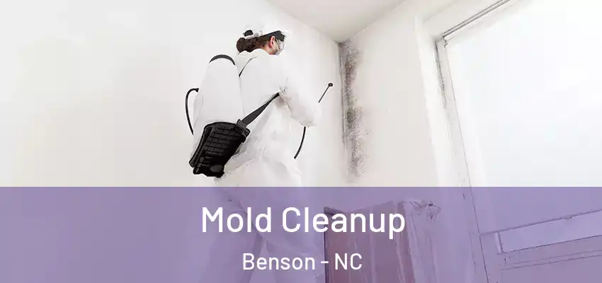 Mold Cleanup Benson - NC