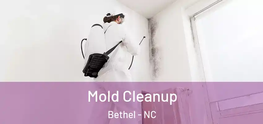  Mold Cleanup Bethel - NC