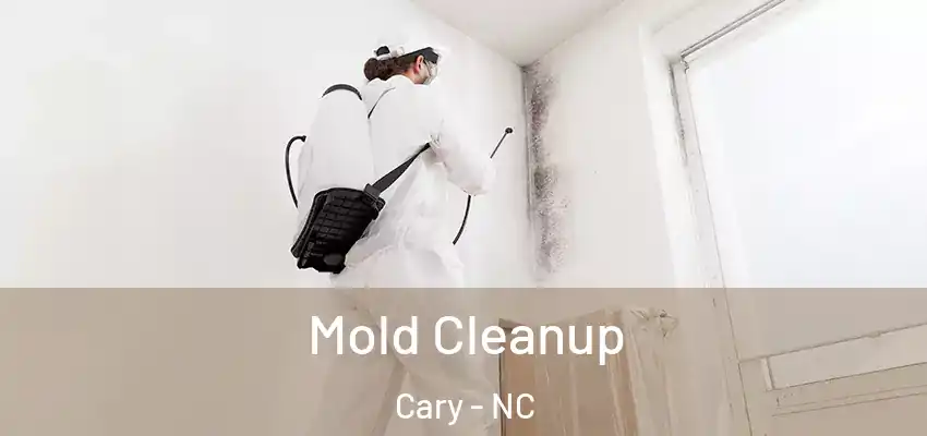 Mold Cleanup Cary - NC