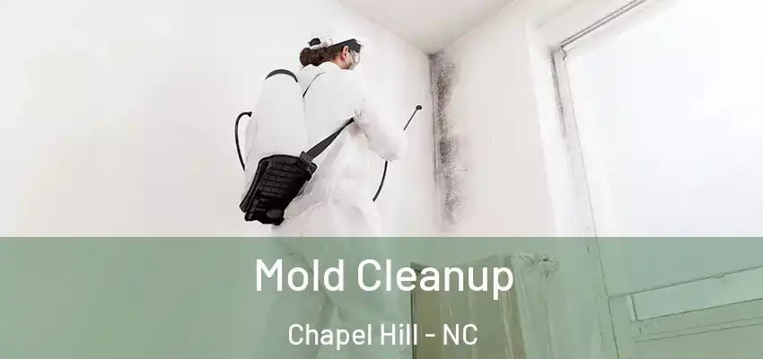  Mold Cleanup Chapel Hill - NC