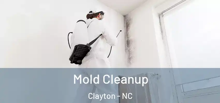  Mold Cleanup Clayton - NC
