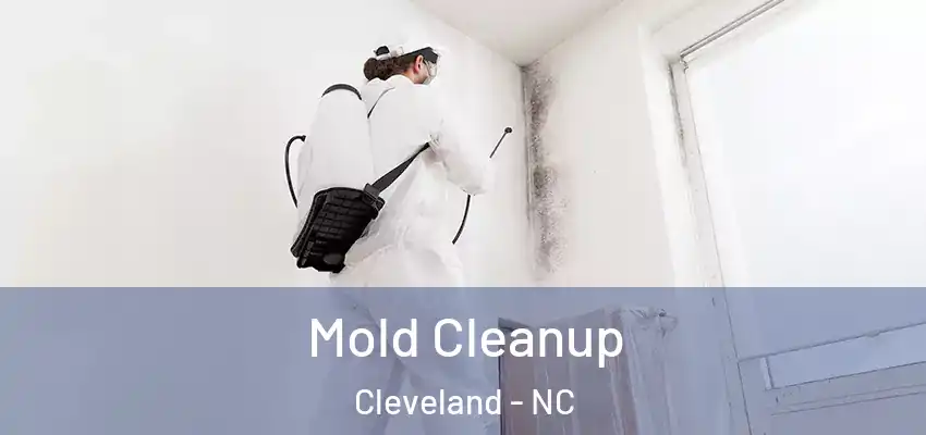  Mold Cleanup Cleveland - NC